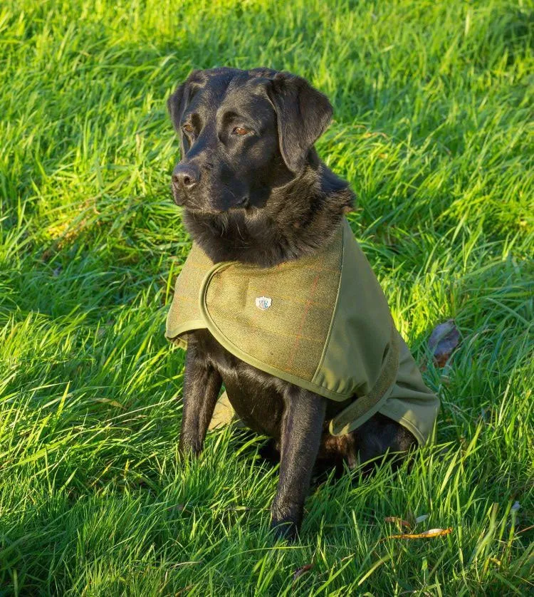 Alan Paine Tweed Dog Coat