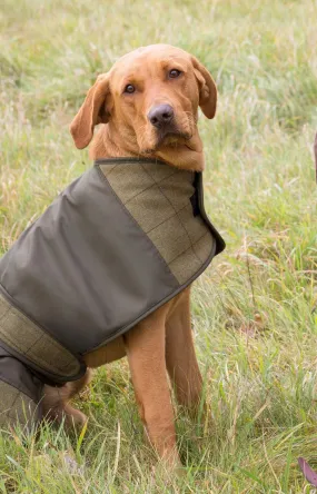 Alan Paine Tweed Dog Coat