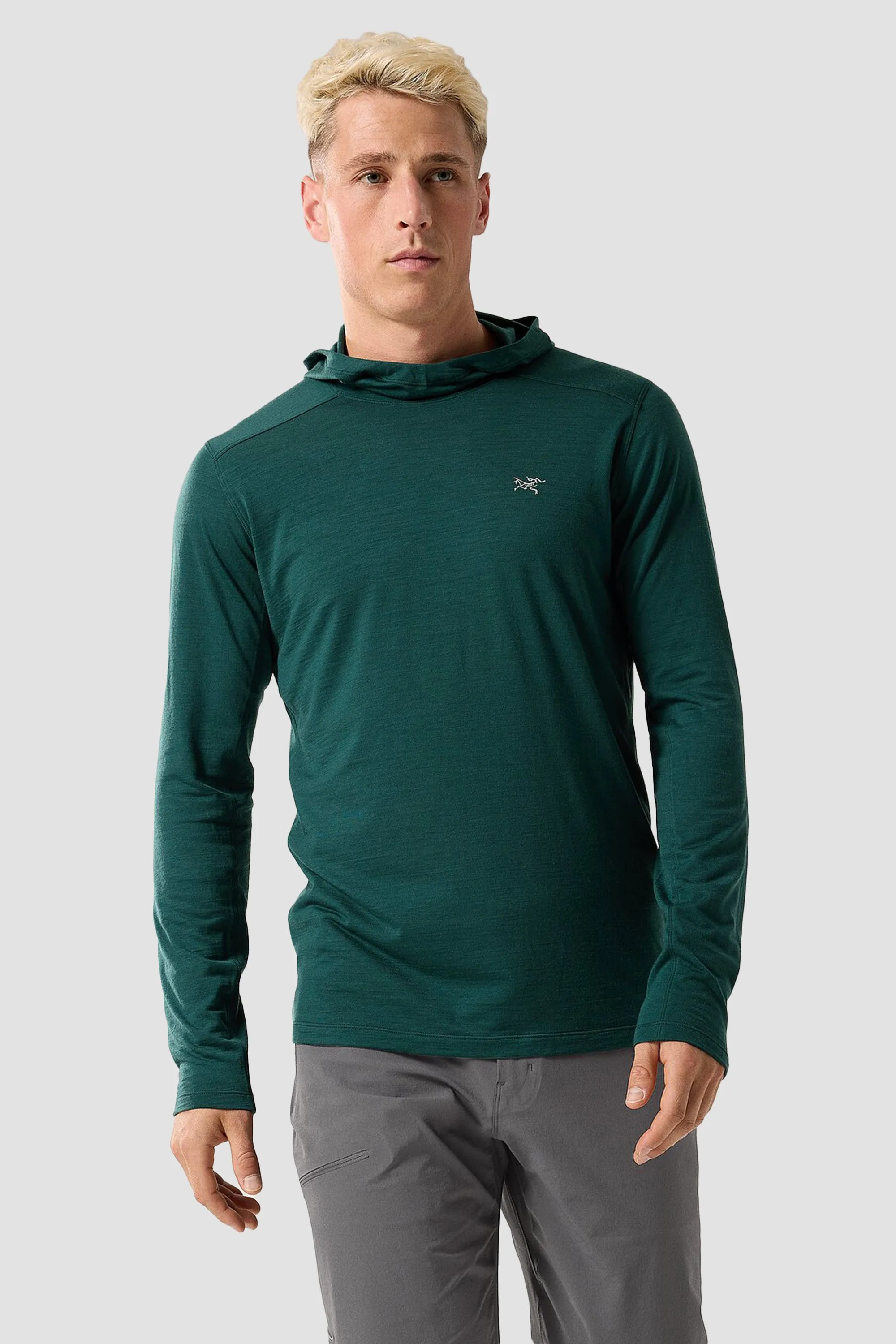 Arc'teryx Men's Ionia Merino Wool Hoody in Pytheas