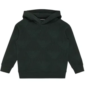 Emporio Armani Kids All-Over Eagle Logo Green Hoodie