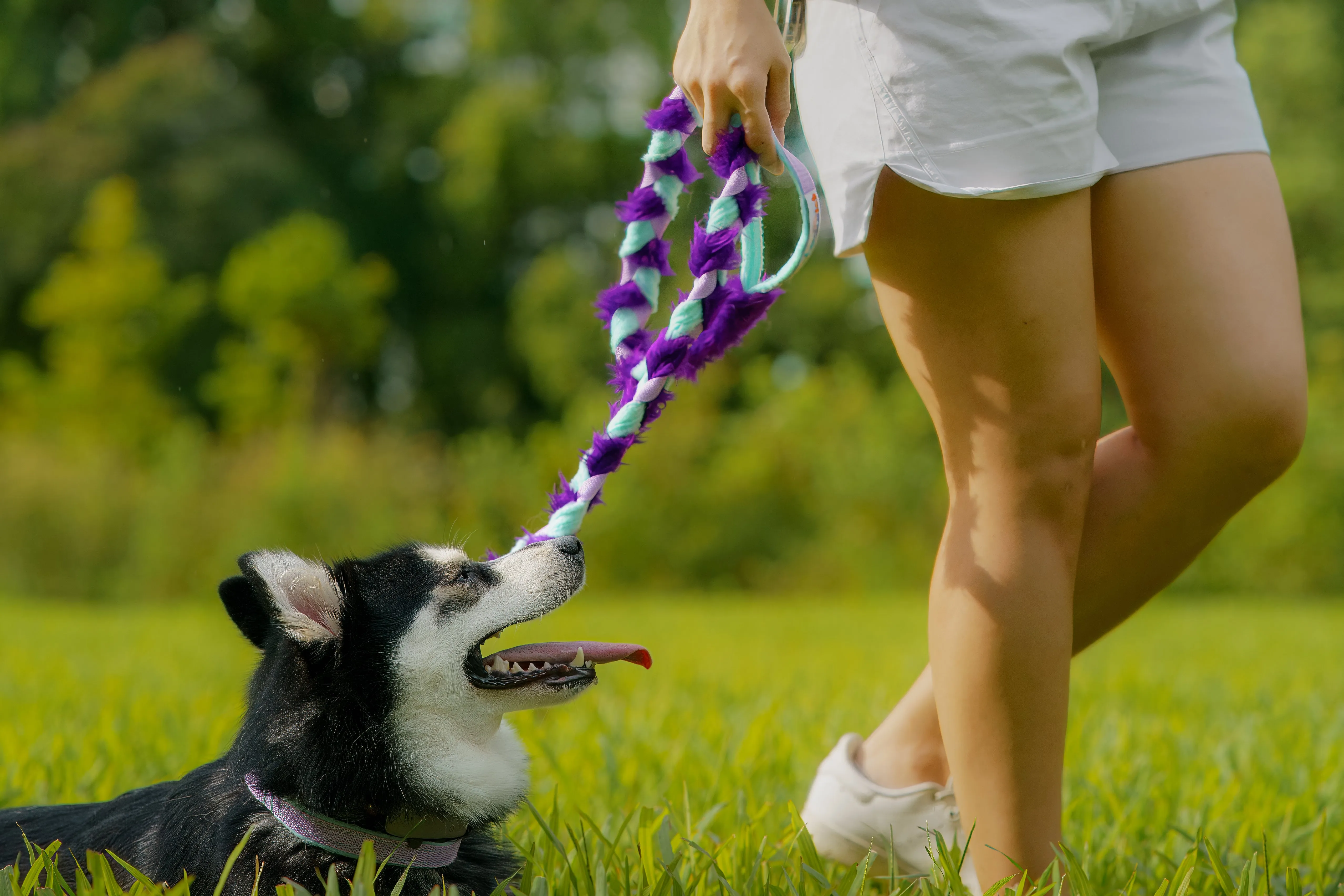 Floramicato - Fluffy Leash   Martingale Collar (Faux Fur)